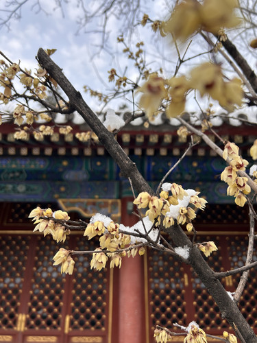 微信图片 20260121193213 84 8.jpg