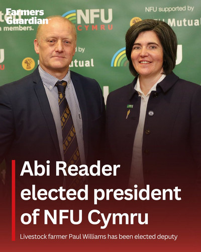 G LfRm6XEAAOFv4?format=jpg.jpg