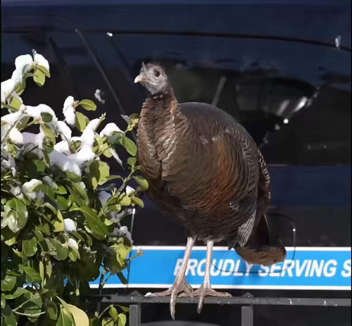 aqRr Zdj4VWm75Kz.jpg