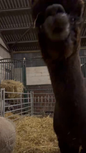 4uOFqU 0qxnsW5rv.jpg