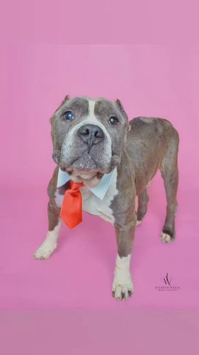 qLpzA o7tZ ucH8c.jpg