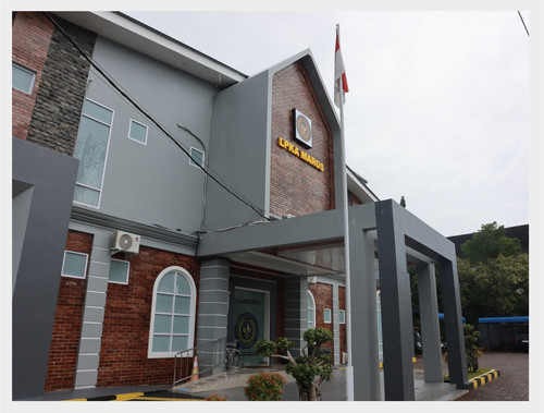 WhatsApp Image 2026 01 19 at 12.54.17.jpg