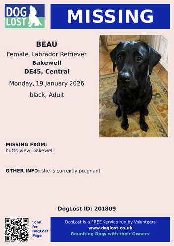 G IGojlXoAAyesZ?format=png.png