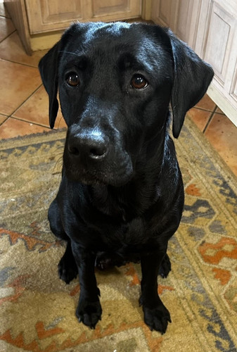 G IGmiOW4AAUbsQ?format=jpg.jpg