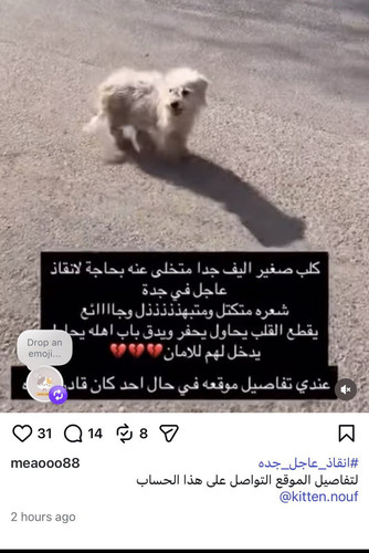 G IcqFCXwAASeBL?format=jpg.jpg