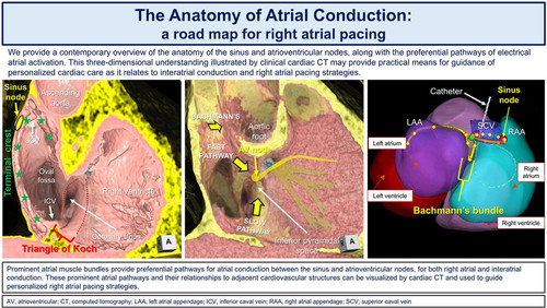 G QbM1WasAAk1Np?format=jpg.jpg