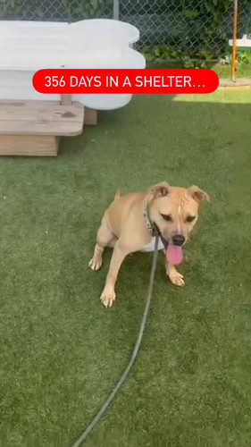 j xMLobTrpxIK9JF.jpg