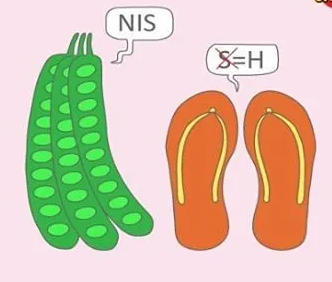 petenis handal.png