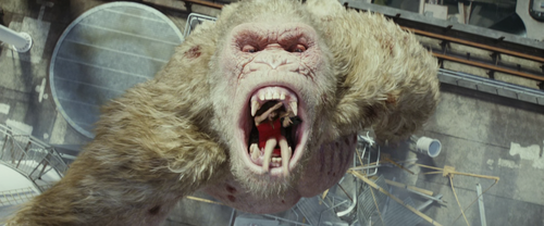 vlcsnap 2026 01 21 16h45m36s937.png