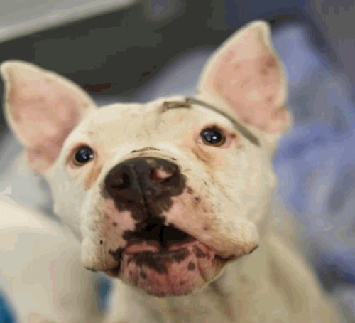 G Mbyi6XwAAGsTX?format=jpg.jpg