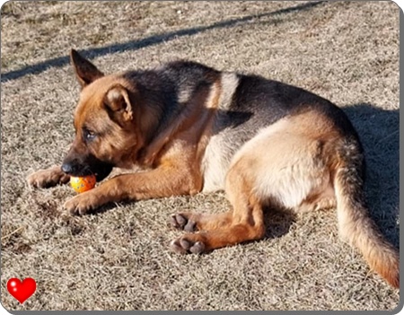 Nayeli Janaur 2026 001.jpg