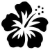 Hibiscus.png