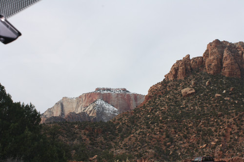 IMG 4663.jpg