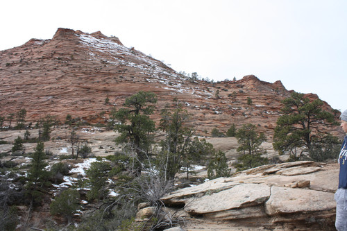 IMG 4665.jpg