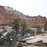 IMG 4665