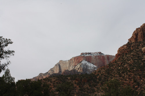 IMG 4664.jpg