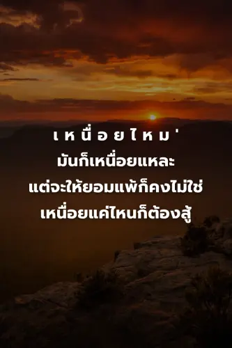 3c09379bce0f.webp