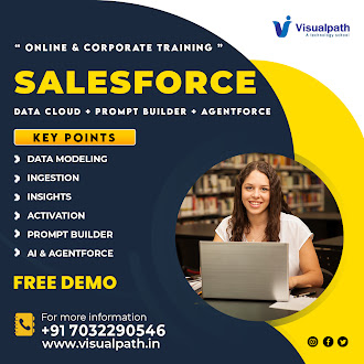 Salesforce Data Cloud Training Online  Cloud Training Ameerpet.jpg