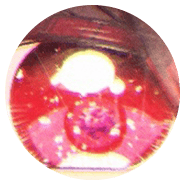 20.png
