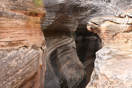 IMG 4677.jpg