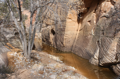 IMG 4739.jpg