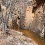 IMG 4739