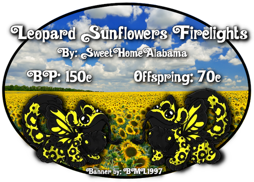 leopard sunflowers firelights