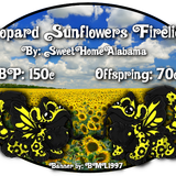 leopard sunflowers firelights