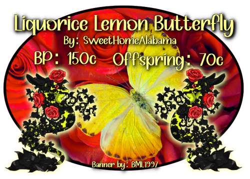 liquorice lemon butterfly
