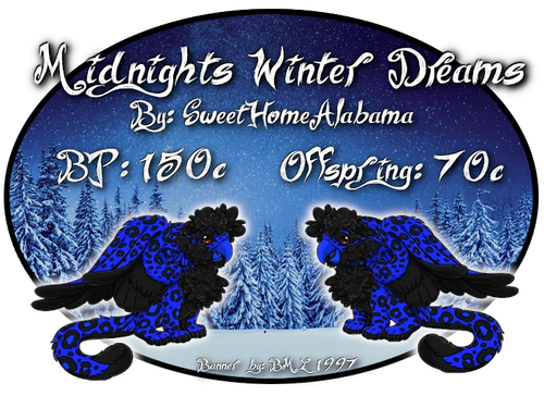 midnights winter dreams