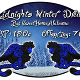 midnights winter dreams
