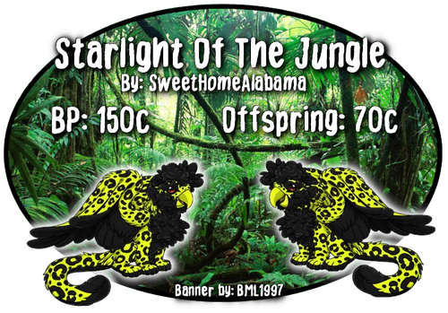 starlight of the jungle