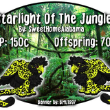 starlight of the jungle