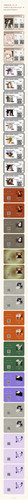 17689780243874690706138385567543.jpg