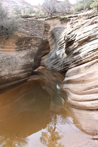 IMG 4746.jpg