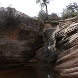 IMG 4745