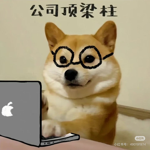 QQ图片20250823024228.jpg