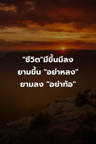 806eae0f63f9.webp