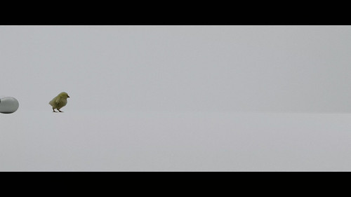 Legion.S02E01.Chapter.9.2160p.DSNP.WEB DL.CZ EN.DD+5.1.DoVi.HDR.H.265 CRFW.mkv 20260121 154831.619