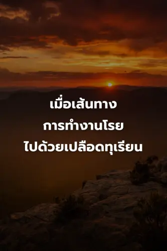 ff24c4478428.webp