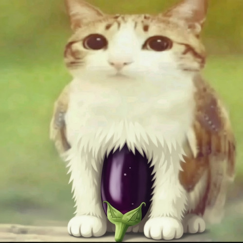 upload.jpg