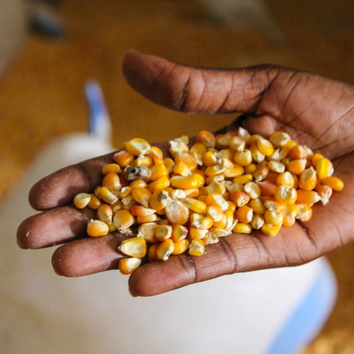 G KltkZXsAA6k ?format=jpg.jpg