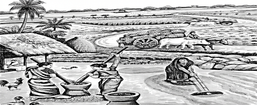 Pasted Graphic 1.png