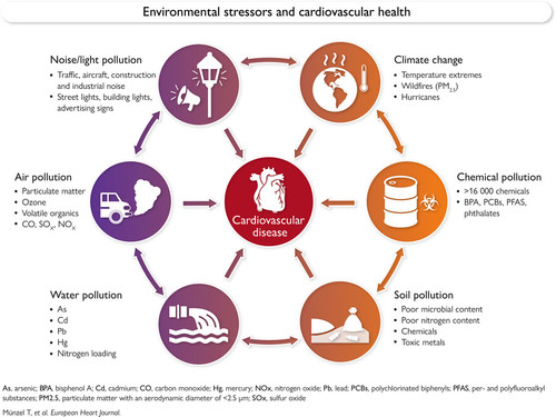 G IaAoOW4AA5Rzm?format=jpg.jpg