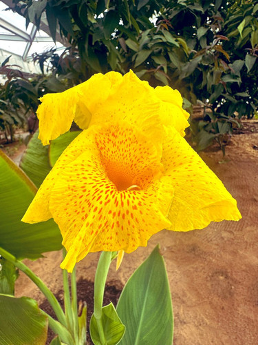 G KTDi9aoAApf7w?format=jpg.jpg