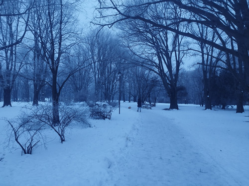 IMG 20260121 074801.jpg