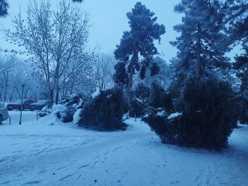 IMG 20260121 073950.jpg