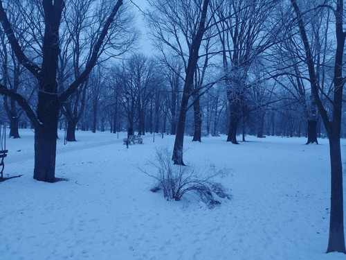 IMG 20260121 074758.jpg