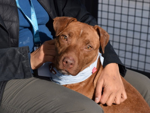 G a7K 8agAEp27e?format=jpg.jpg