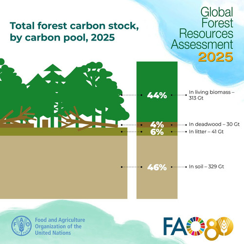 G LO2fWW8AAgCK6?format=jpg.jpg